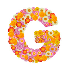 Letter G alphabet with straw flower isolated on white background