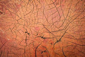 wood crack background