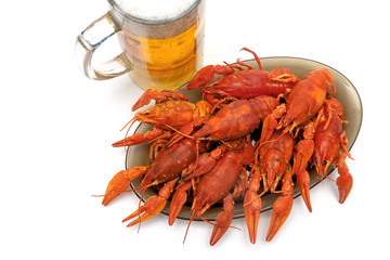crayfish and beer closeup on a white background