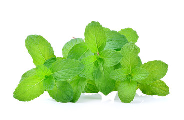 mint leaf on white background