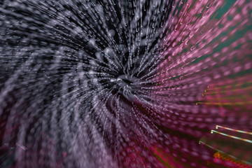 Abstract night  speed motion photo effects. 