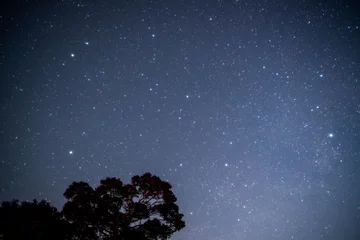 Deurstickers sterrennacht © yoko_ken_chan