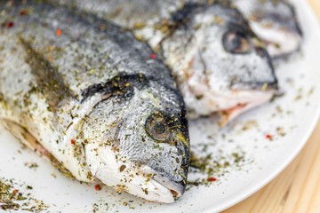 Fish on white plate background
