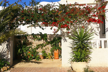 portes et fenêtres en Andalousie
