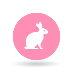 Naklejka premium Bunny rabbit icon. Bunny rabbit sign. Bunny rabbit symbol. White rabbit icon on pink circle background. Vector illustration.