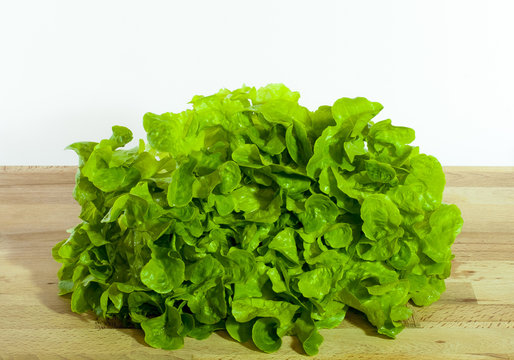 Green fresh lettuce