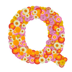 Letter Q alphabet with straw flower isolated on white background