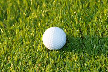 Golf ball on the grass