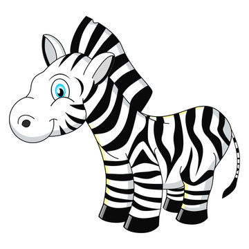 Cartoon zebra vector illustration