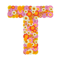 Letter T alphabet with straw flower isolated on white background