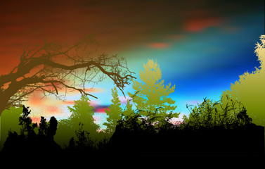 Wild forest landscape with sky, silhouettes of trees, branches and plants