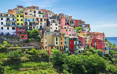 Obraz premium Corniglia , typical and characteristic village of the National Park of Cinque Terre.
