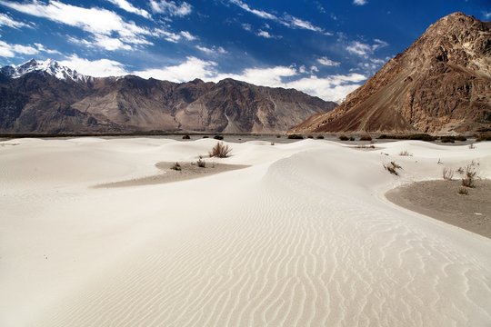 Dunes in Nubra Valley - Ladakh - Jammu and Kashmir