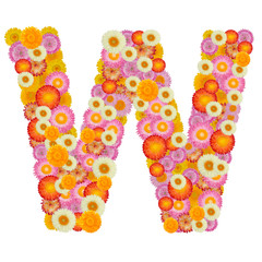 Letter W alphabet with straw flower isolated on white background