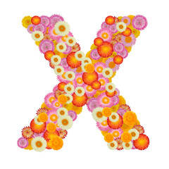 Letter X alphabet with straw flower isolated on white background