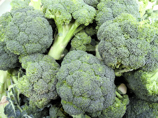 Brokkoli  broccoli