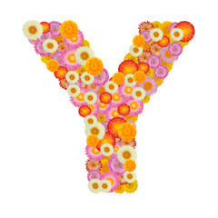 Letter Y alphabet with straw flower isolated on white background