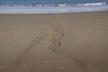 natures sand carving