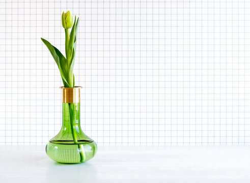 Still life of a tulip in a green glass vase against checkered background.