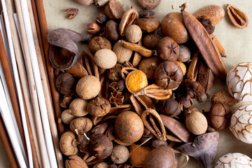 Aromatherapy background with dry flowers.