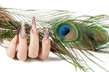 Hand of the girl with a peacock feather