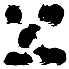 Hamster set of silhouettes 