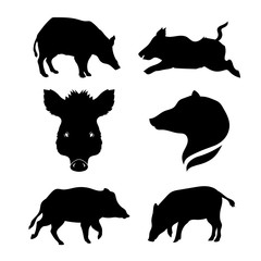 Boar set vector
