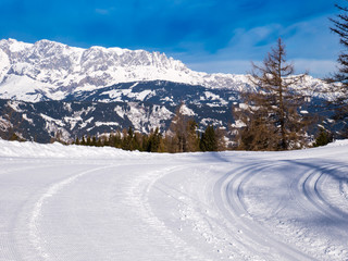 Cross-country ski run