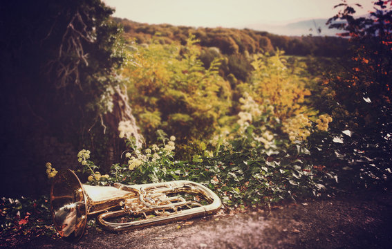 Trompete vor Landschaft Vintage