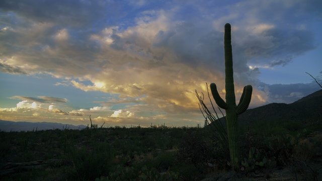 Western Sunset Glow (4K) - A motion control sunset time lapse in Saguaro National Park.