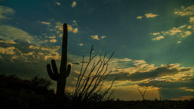 Saguaro Cactus Sunset (4K) - A motion control sunset time lapse in Saguaro National Park.