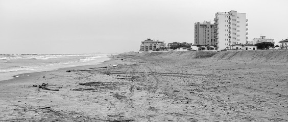 Winter beach panorama. Black ad white photo