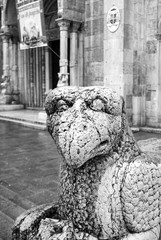 Ferrara, old city. Black and white photo