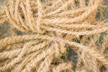 Close-up of an old frayed boat rope as a nautical background. Sepia