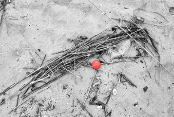 Garbage on a beach. Black and white photo