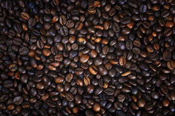 Roasted coffee beans
