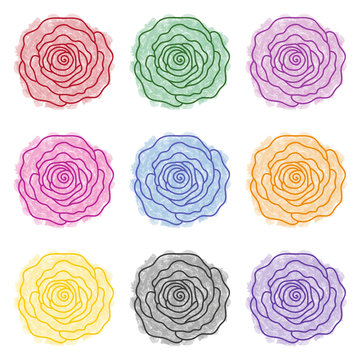 Set of roses of different colors