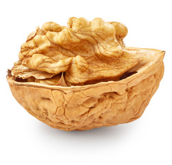Walnut