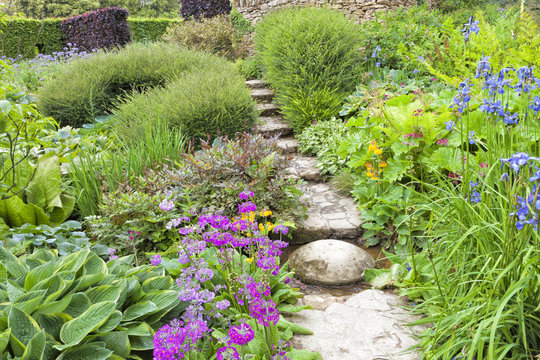 Traditional English garden with stone steps going up through colorful summer blue, pink flowers, green foliage, ending at the top with hedge, shrubs and lavender