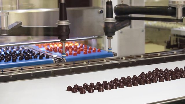 Picker line for chocolate bears, cookies, candies. Close up working process of transporter equipment 