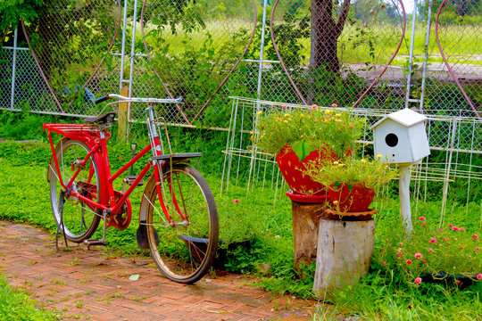 Old bike parked in the garden