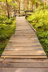 A wooden walkway