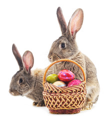Easter bunnies with colored eggs.