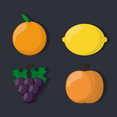 Fruit icon design 
