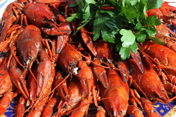 Boiled crayfishes with greenery on a plate
