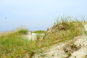 Fototapeta premium Dünen an der Nordsee