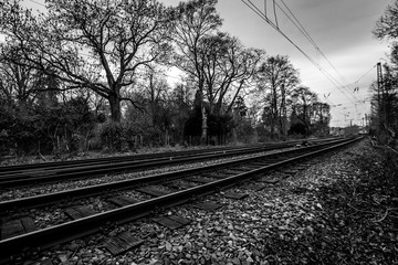 Fototapeta premium Bahnlinie am Mainzer Volkspark vorbei hin zum Südbahnhof