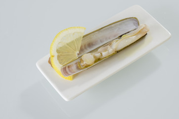 White dish of grilled razor clams with lemon