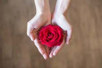 Papier Peint photo autocollant Roses red rose in hands