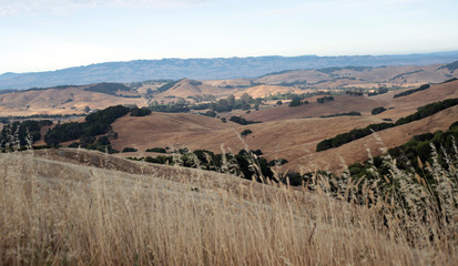 The drought-stricken hills of Sonoma County California are the ideal environment for growing grapes and managing ranches.